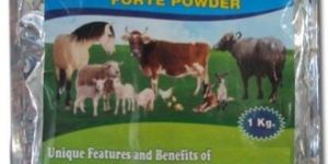 Animal Feed Supplements