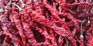 Dried Red Chilli