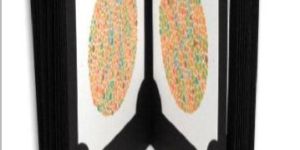 Ishihara Color Vision Test Book