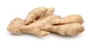 Dry Ginger