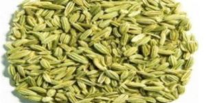 Fennel Seeds