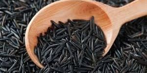 Black Rice