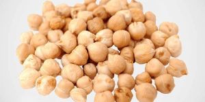 White Chickpeas
