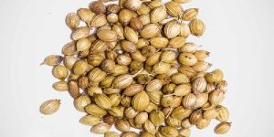 Coriander Seeds