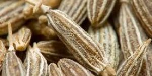 Cumin Seeds