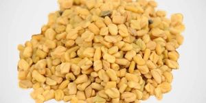 Fenugreek Seeds