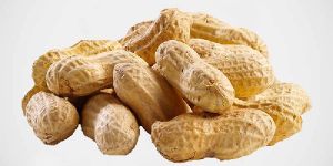 Shelled Peanuts