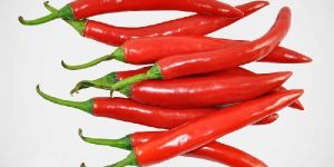 Fresh Red Chilli