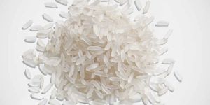 Indian Rice