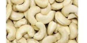 Cashew Nuts W210/w240/w320