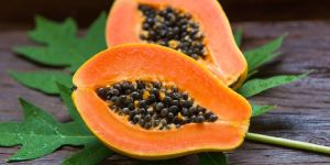 Fresh Papaya