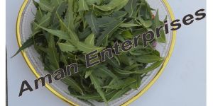 Neem Leaves