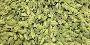 Fennel Seeds