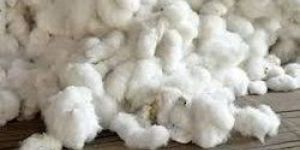 Pure Raw Cotton