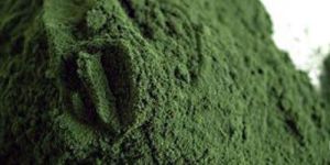 Spirulina Powder