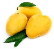 Kesar Mango