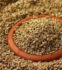Carom Seed