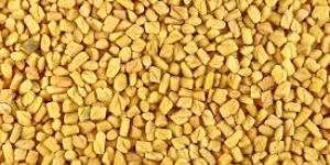 Dry Fenugreek Seeds