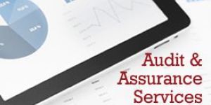 Statutory Auditing Services