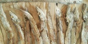 Dry Fish