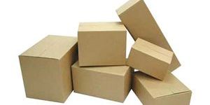 Duplex Packaging Boxes
