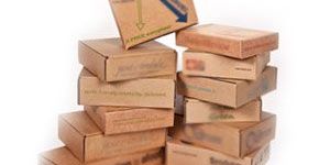 Printed Duplex Boxes