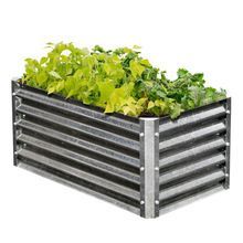Raised Garden Beds