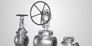 Bolted Bonnet CHECK VALVE