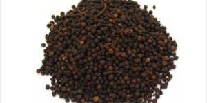 Black Pepper