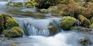 Flow Measurement Systems