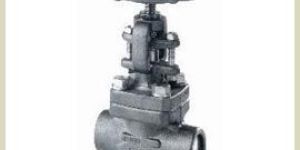 Forged Globe Valves