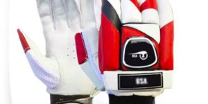 Cricket Hand Gloves