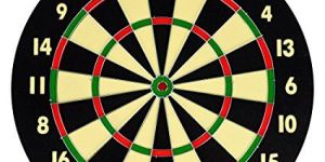 Paper Dartboard