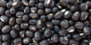Whole Urad Dal
