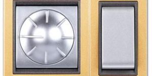 Digital Silver with Gold Switch