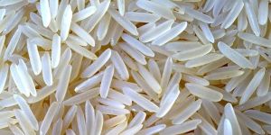 Pusa 1121 Sella Rice