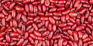 Red Kidney Beans