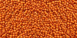 Red Split Lentils