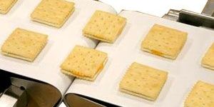 Food Grade Conveyor Belt