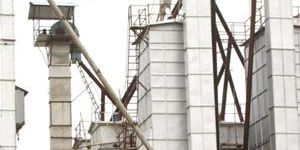 PARBOILING BELT FOR RICE MILLS