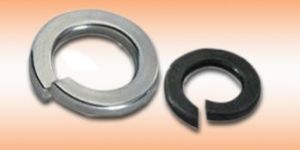 Spring Washers