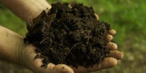 Organic Farming Fertilizer