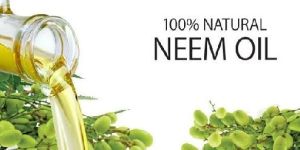 Organic Neem Oil