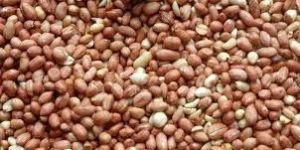 Ground Nuts