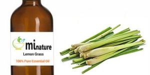 Lemon Grass Essential Oil