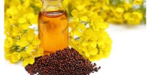 Mustard Carrier Seed Oil