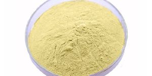 Natural Garlic Extract