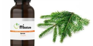 Spruce Essential Oil