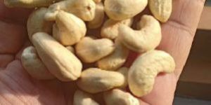 Cashew Nuts