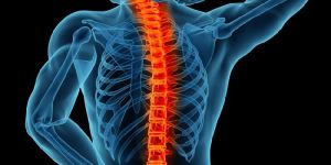 Spine Surgery Services